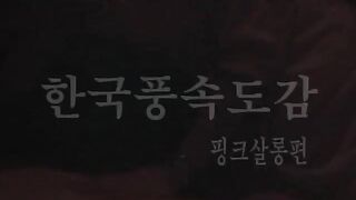 풍속도감 (핑크살롱)___오리지널 원판입니다___즐감하세요