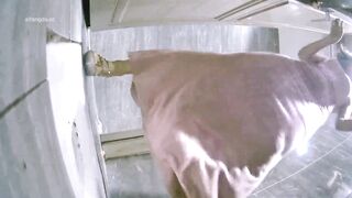 KTV女廁全景偷拍 多位美女 氣質少婦噓噓 各種美鮑魚完美呈現